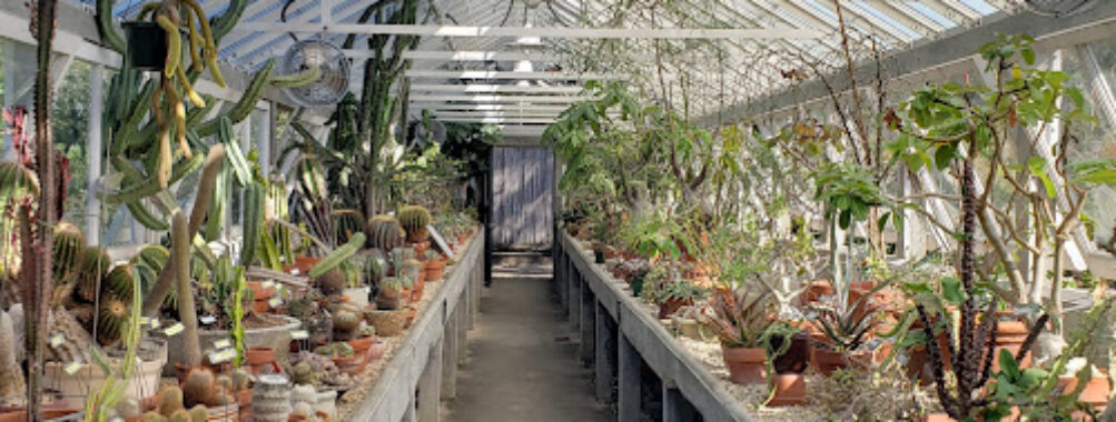 New Orleans Botanical Garden Travel Forum Reviews