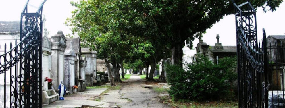New Orleans Travel Forum Reviews