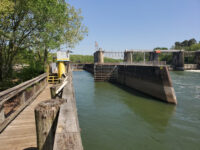 New Savannah Bluff Lock & Dam Park Travel Forum Reviews