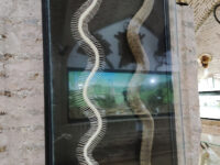 Neyshabur Wildlife Museum Travel Forum Reviews