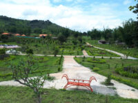 Ngin Hom Park Travel Forum Reviews