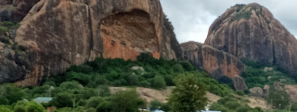 Ngomeni Travel Forum Reviews