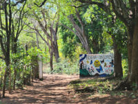 Nicaragua Butterfly Reserve Travel Forum Reviews