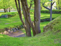 Nicholas's Moats Travel Forum Reviews