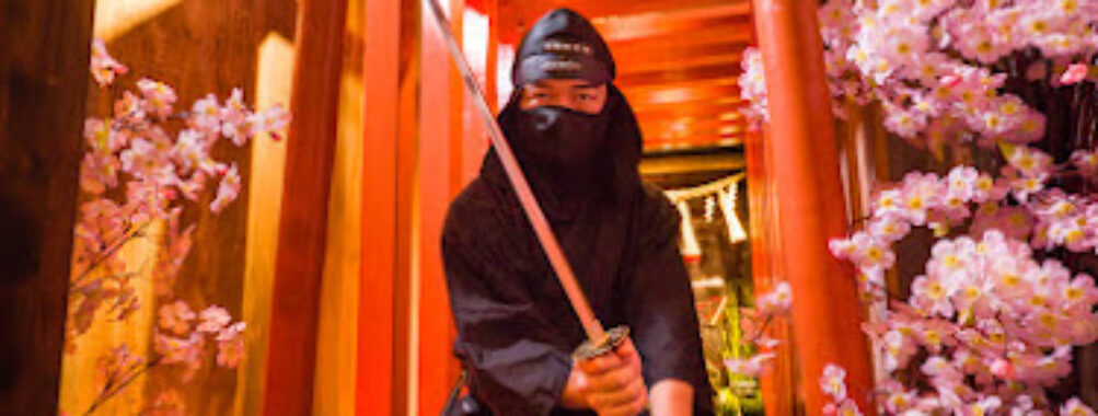 Ninja Trick House In Tokyo Travel Forum Reviews