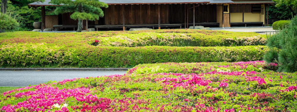 Ninomaru Garden Travel Forum Reviews