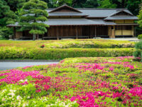 Ninomaru Garden Travel Forum Reviews