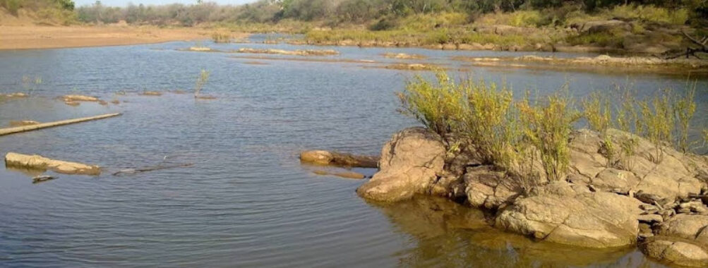 Niokolo-Koba National Park Travel Forum Reviews