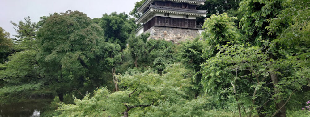 Nishio City Museum Travel Forum Reviews