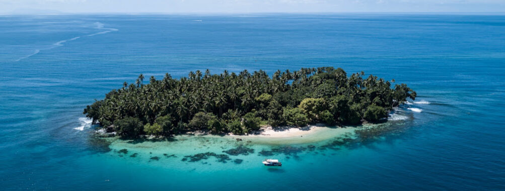 Niugini Dive Adventures Travel Forum Reviews
