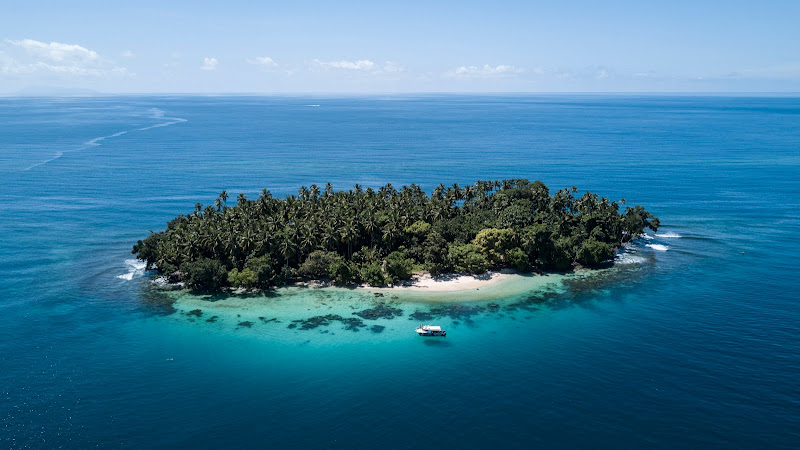Niugini Dive Adventures