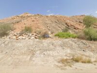 Nizwa Top View Travel Forum Reviews