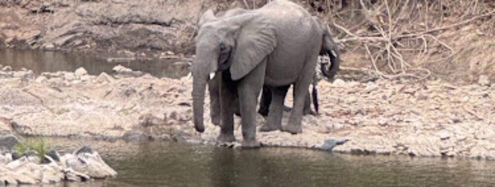 Nkhotakota Wildlife Reserve HQ Travel Forum Reviews