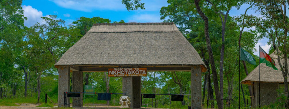 Nkhotakota Wildlife Reserve Main Gate Travel Forum Reviews