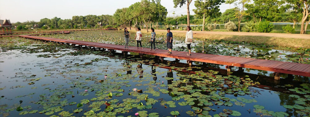 Nong Han Chaloem Phra Kiat Park: Biking, Walking, Running, Birdwatching, Wetlands Travel Forum Reviews