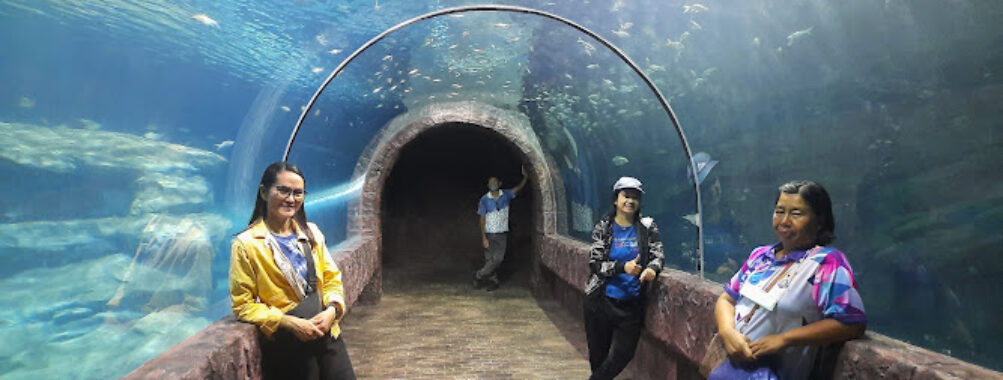 Nong Khai Aquarium Travel Forum Reviews