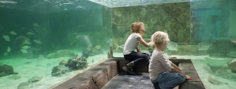 NorCal Aquarium & Wildlife Travel Forum Reviews