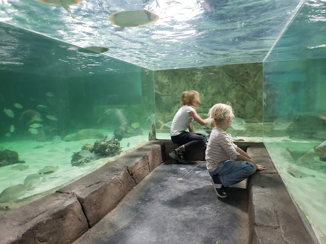 NorCal Aquarium & Wildlife