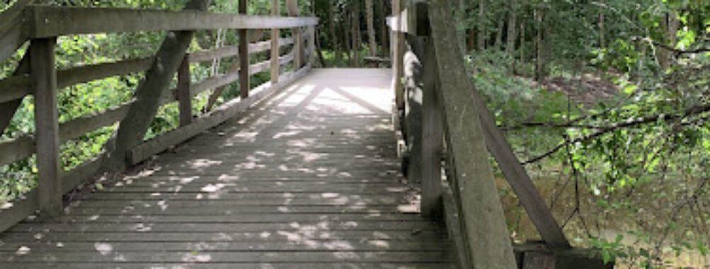 Nordic Walking Trail Travel Forum Reviews