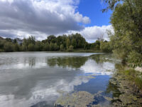 Nordlingen Park Travel Forum Reviews