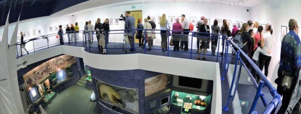 Norilsk Museum Travel Forum Reviews