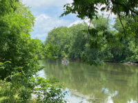 North Middleton Park Travel Forum Reviews