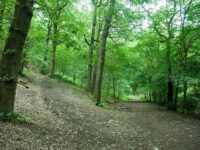 Northcliffe Park Travel Forum Reviews