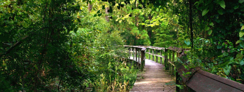Northlake Nature Center Travel Forum Reviews