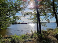 Notuddsparken Travel Forum Reviews