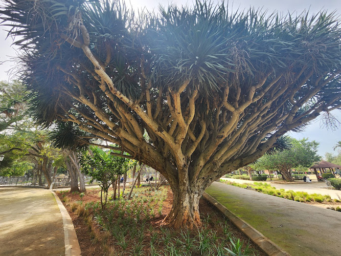 Nouzhat Hassan Garden