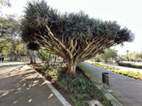 Nouzhat Hassan Garden Travel Forum Reviews