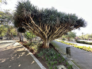 Nouzhat Hassan Garden