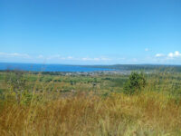 Nsumbu National Park Travel Forum Reviews