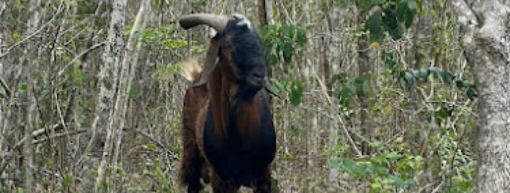 Nuevo león, tizimin yucatan Travel Forum Reviews
