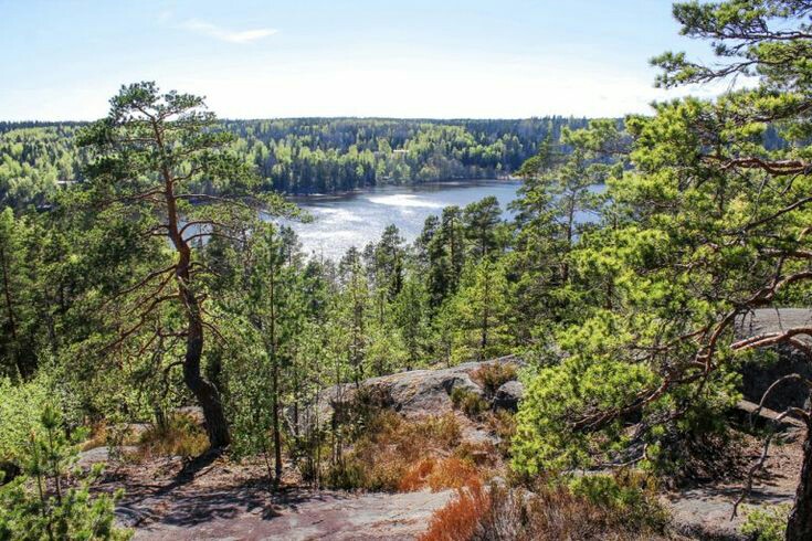 Nuuksio National Park Panoramic View
