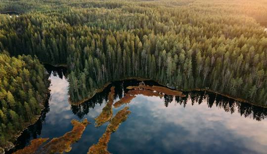 Nuuksio National Park