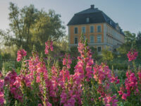 Nynäs Slott Travel Forum Reviews