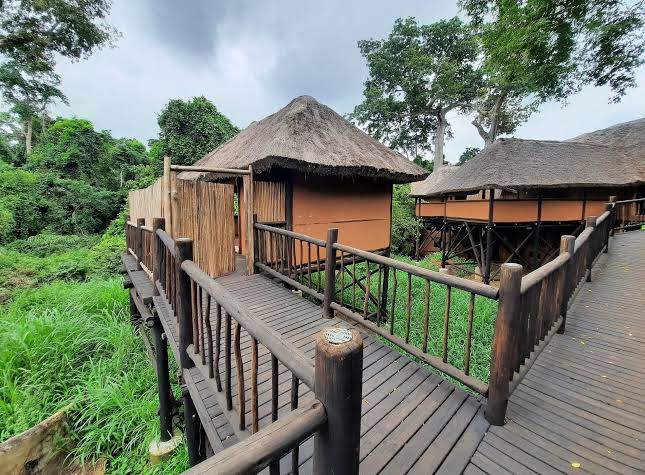 Nzi River Lodge