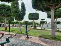 OBELISCO Travel Forum Reviews
