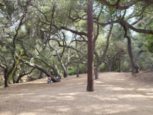 Oak Canyon Nature Center