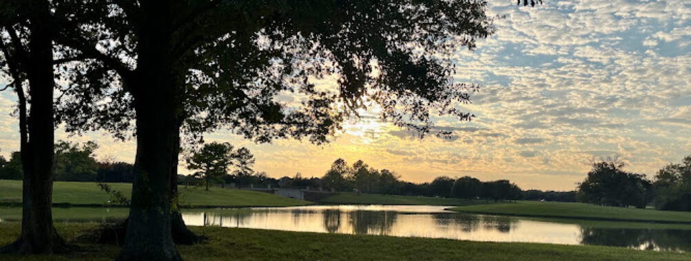 Oak Meadow Park Travel Forum Reviews
