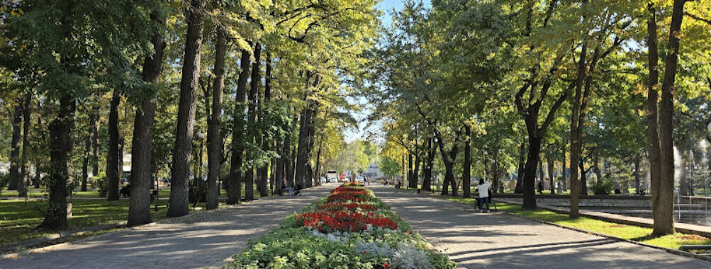 Oak Park Travel Forum Reviews