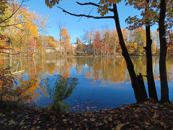 Oak Tree Pond