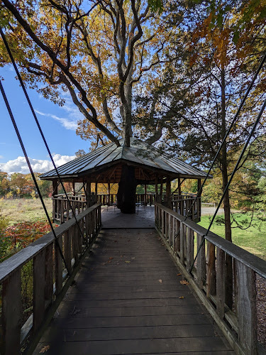 Oakledge Park - Forever Young Treehouse