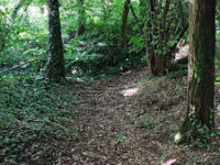 Oasi WWF Il Caloggio Travel Forum Reviews