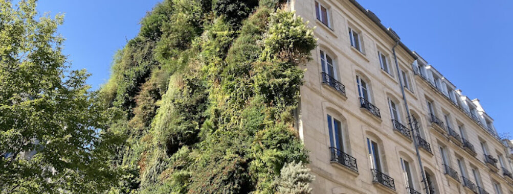 Oasis d'Aboukir Travel Forum Reviews