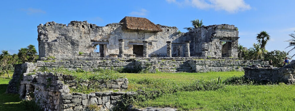 Ocean Tours Mexico Travel Forum Reviews