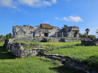 Ocean Tours Mexico Travel Forum Reviews