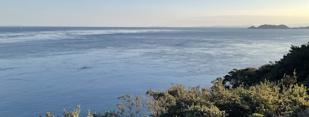 Ochaen Observation Deck Travel Forum Reviews