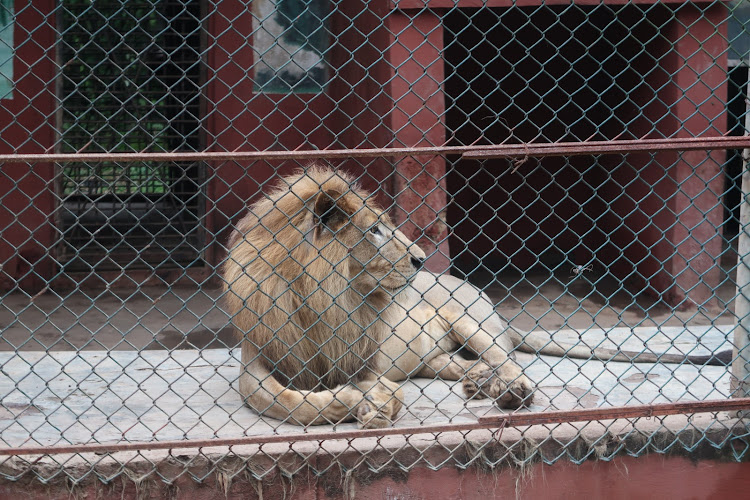 Ogba Zoo, Benin City.